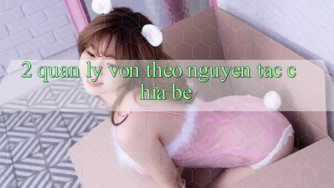 2. Quản Lý Vốn Theo Nguyên Tắc Chia Bé