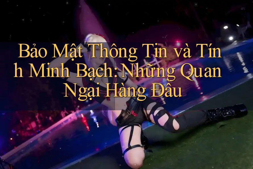 Bảo Mật Thông Tin và Tính Minh Bạch: Những Quan Ngại Hàng Đầu