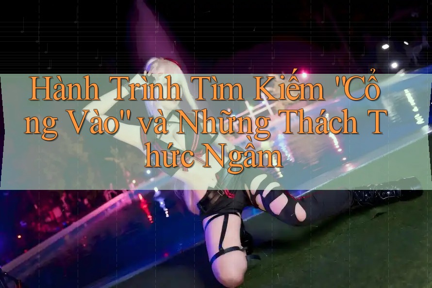 Hành Trình Tìm Kiếm “Cổng Vào” và Những Thách Thức Ngầm