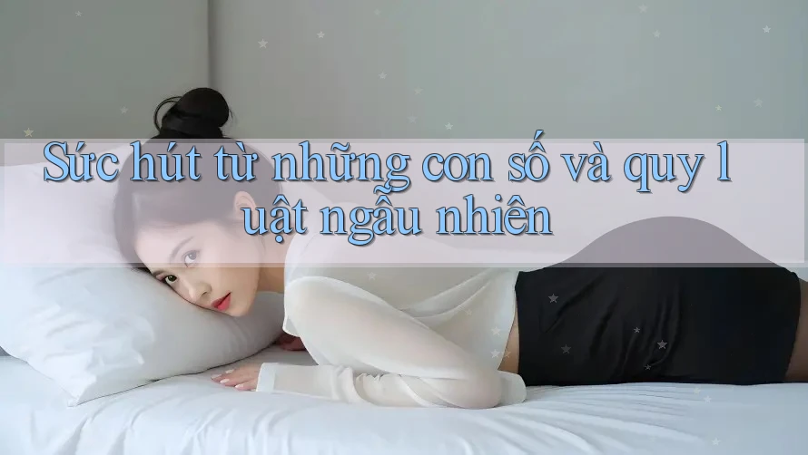 Sức hút từ những con số và quy luật ngẫu nhiên
