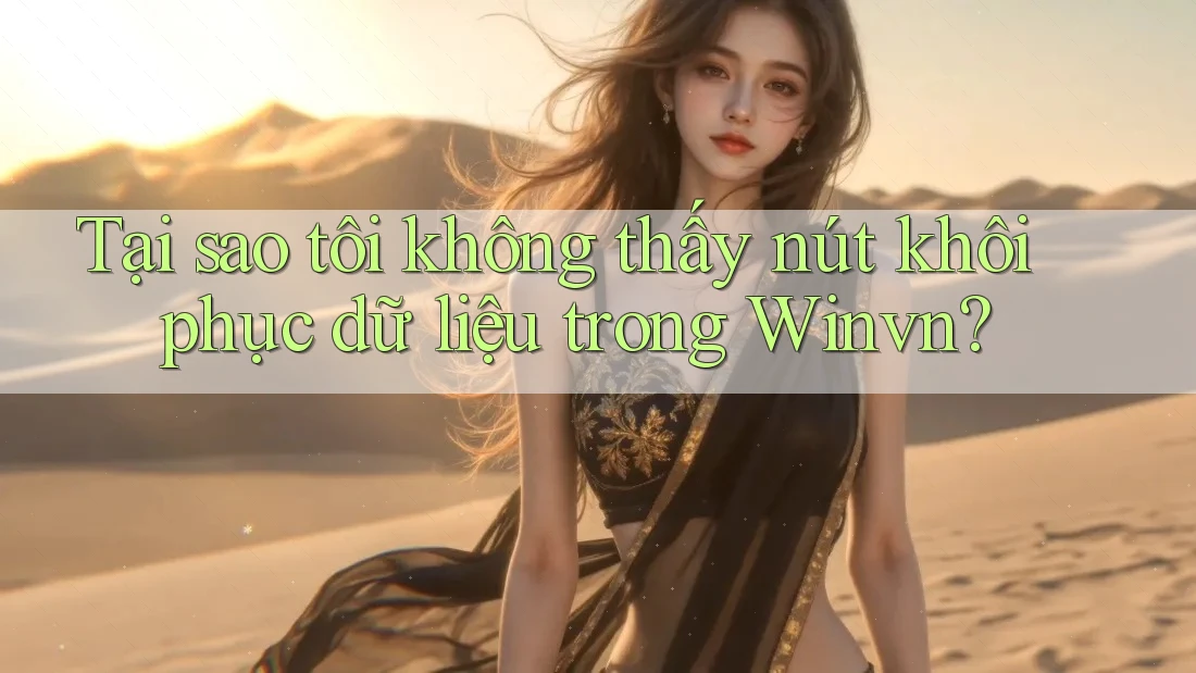 Tại sao tôi không thấy nút khôi phục dữ liệu trong Winvn?